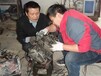 上海电动汽车维修培训学校电动汽车维修培训学修理电动汽车