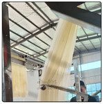 干湿两用米粉加工生产线新款自动米线机搓丝机器厂家河北供应