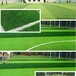乐山足球场草坪施工，自贡足球场草坪，沪州足球场草坪