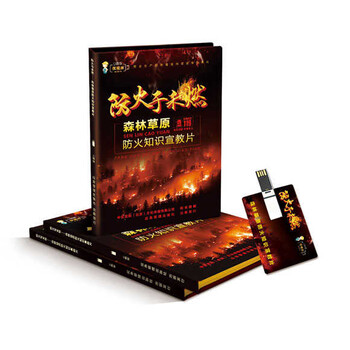 消防月安全宣傳活動(dòng)消防安全宣傳知識(shí)學(xué)習(xí)資料U盤(pán)/套消防