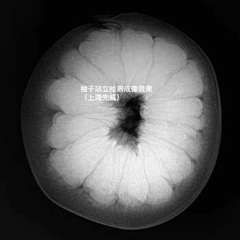 工业X-RAY无损检测设备工业X光机