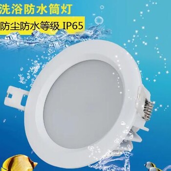深圳筒燈廠(chǎng)家批發(fā)LT-TD21W,郎特照明