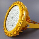 防爆防腐led投光燈100w5年質(zhì)保直流220v，郎特照明