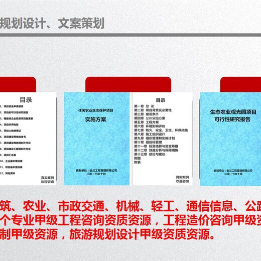 湖北省本地定制工程可行性研究报告编写单位