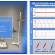 医学虚拟现实实验系统医学虚拟仿真实验教学系统生理虚拟实验室