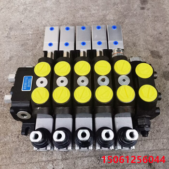 SQEDL-F20L-T/OOOOOO環(huán)衛(wèi)壓縮垃圾車多路換向閥氣分配器