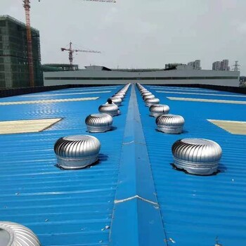 廣西來賓市不銹鋼風帽不銹鋼豬場自動通風球豬圈用室外