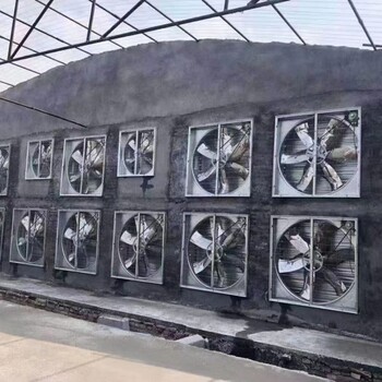 廣西桂林市防爆負(fù)壓風(fēng)機(jī)防爆混合風(fēng)機(jī)防爆風(fēng)機(jī)