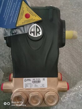 RR15.20C意大利AR柱塞泵內插軸