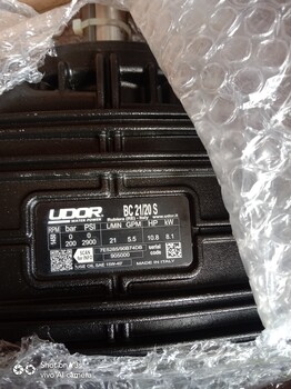 NK-B37/300意大利UDOR工業(yè)泵300公斤37升