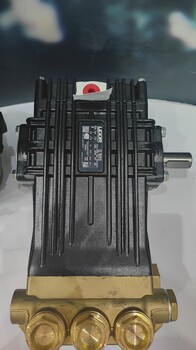 NK-B37/300意大利UDOR工業(yè)泵300公斤37升
