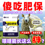 肉牛羊益生菌饲料添加剂生产厂家提高牛羊食欲