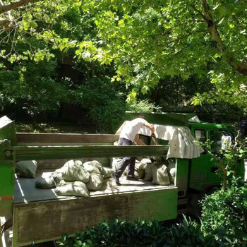 西城牛街垃圾清运清理西城牛街承接拆隔间、拆地板、砸墙、砸地平