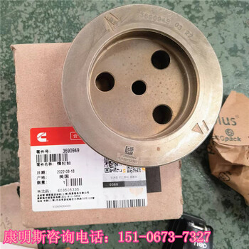 揚州水利柴油發電機輸油泵5466574/5419780