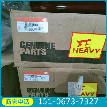 QSV91/qsv81柔性軟管4013737康明斯大功率機(jī)組配件