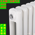 GZT2-0.9/600-1.0钢制柱式散热器工程暖气片散热器钢二柱暖气片
