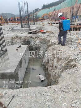深圳市福田殺蟲公司辦公室殺蟲滅蟑螂滅鼠公司