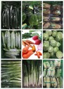廈門蔬菜配送、廈門食材供應、廈門食堂承包、工廠蔬菜配送