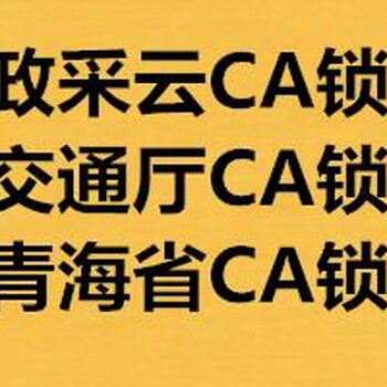 青海CA锁办理网站办理电话CA锁办理类型怎么选？