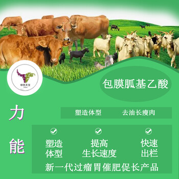 如何給牛羊催肥育肥牛羊開胃的方法牛羊去油增肥增重