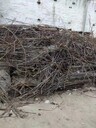 博罗县建筑材料废钢材回收博罗县废钢铁回收
