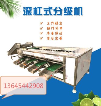 自由上果的土豆?jié)L杠式分級(jí)機(jī)報(bào)價(jià)說明