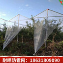 聚乙烯加厚蘋(píng)果防雹網(wǎng)廠家耐老化果樹(shù)防雹網(wǎng)08孔批發(fā)