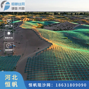 西藏沙化治理HDPE防沙網(wǎng)沙漠防沙網(wǎng)格帶安裝立柱廠家