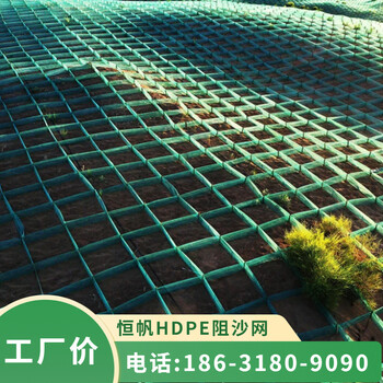 PW平纹方格网阻沙网防沙障网格绿色聚乙烯材质20公分高度