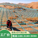 阿拉善低立式沙障穿沙公路養(yǎng)護防沙圍網(wǎng)沙障網(wǎng)格河北廠家