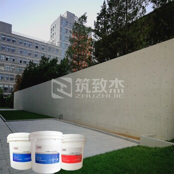 混凝土缺陷色差修補(bǔ)劑防碳化涂料平色劑