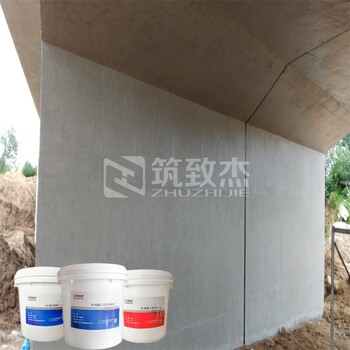水利大壩修補顏色一致筑致杰Z8耐久性好