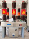 LW16-40.5-1260-31.5-LW16-35戶(hù)外35KV瓷柱式六氟化硫斷路器