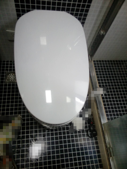 Roca浴缸維修、上海樂家馬桶維修、淋浴花灑安裝/維修服務