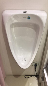 Roca浴缸維修、上海樂家馬桶維修、淋浴花灑安裝/維修服務