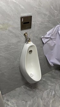 上海TOTO馬桶維修、盧灣區(qū)TOTO馬桶水箱按鈕維修