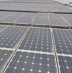 厂家上门回收太阳能单晶硅料电池片回收光伏发电板回收