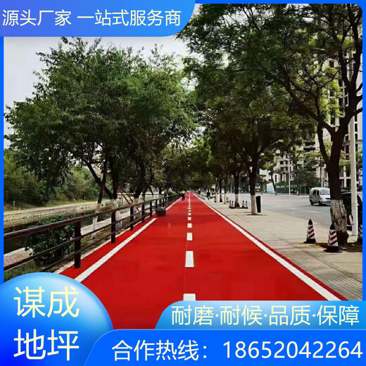 安徽阜阳彩色地坪技术和创新