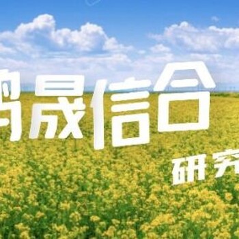 工装配件行业市场产销前景及竞争趋势预测报告2023-2030年