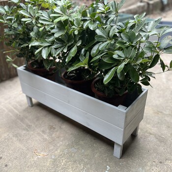 種植箱種菜箱樓頂種菜盆家庭陽臺特大塑料花盆長方形花箱