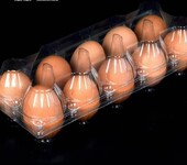10枚鸡蛋托盒透明鸡蛋塑料包装盒