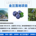 漯河可行性研究報告代做_敬請垂詢(xún)