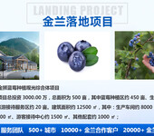 阿拉爾編寫節能報告、建材項目節能報告