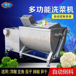 贛云牌750型商用果蔬清洗機全自動多功能洗菜機
