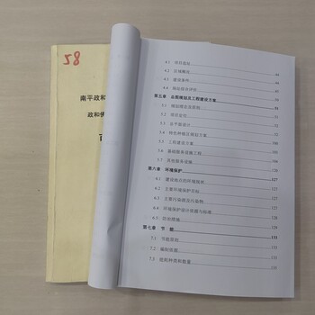 百色可行性研究報告編制本地機(jī)構(gòu)