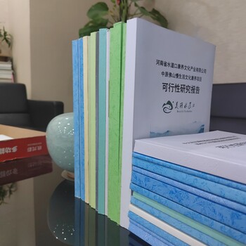 百色可行性研究報告編制本地機(jī)構(gòu)