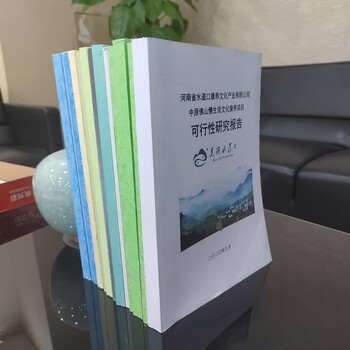 百色可行性研究報告編制本地機(jī)構(gòu)