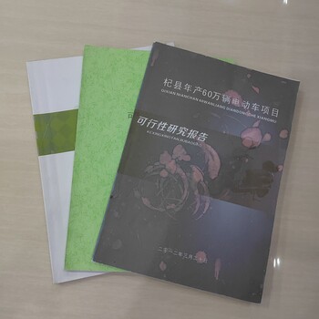 百色可行性研究報告編制本地機(jī)構(gòu)