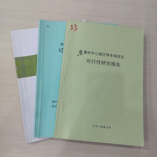 广州可行性研究报告代做本地公司