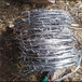西藏包塑刺绳厂家供应日喀则公路刺网林芝不锈钢刺绳